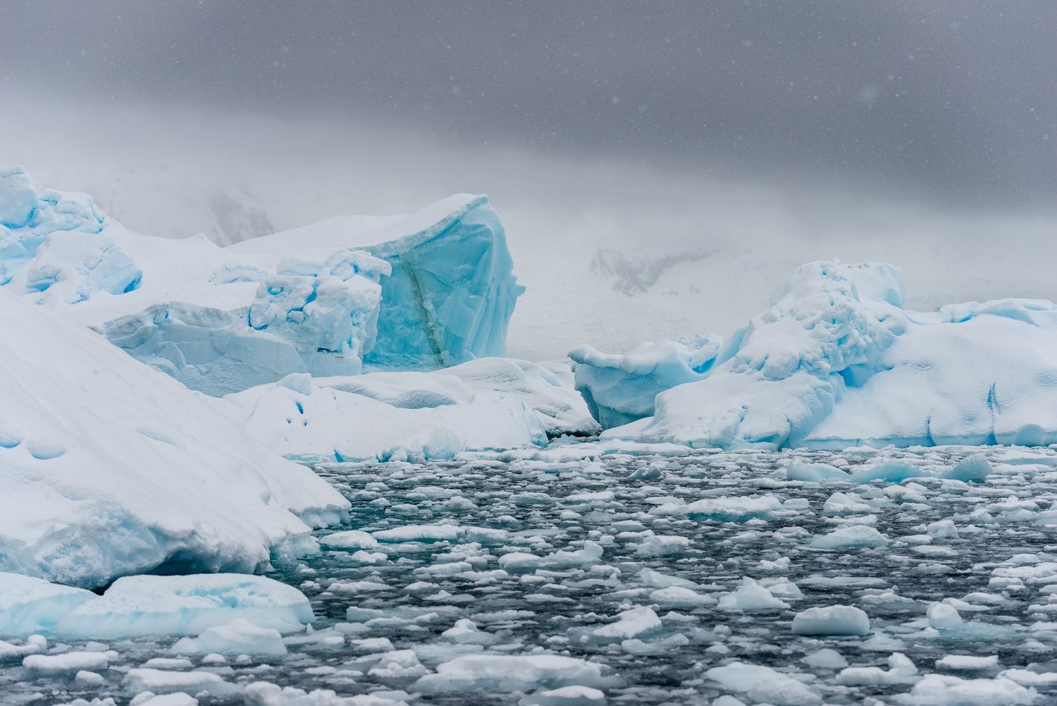 https://nikkidurkin.ghost.io/content/images/2020/10/antarctica.jpeg