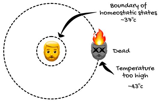 https://nikkidurkin.ghost.io/content/images/2020/10/desert-diagram-1-1.png